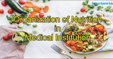 Organization of nutrition in medical institution
