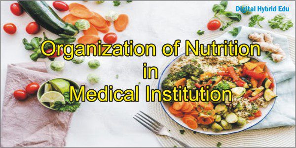 Organization of nutrition in medical institution