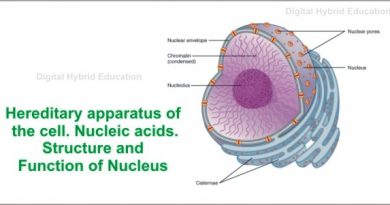Nucleic acids Structure and Function of Nucleus