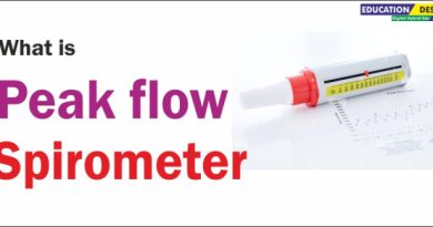Peak flow or spirometer