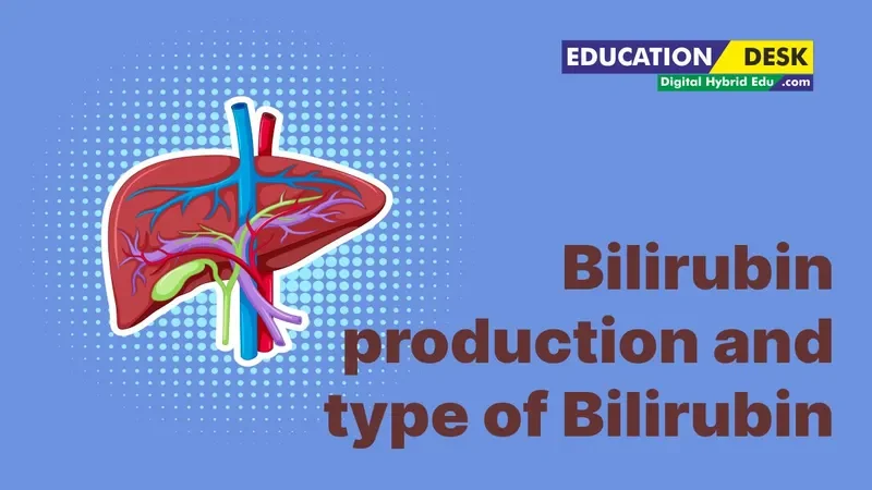 Mechanism of Bilirubin Production type of Bilirubin